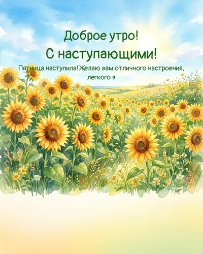 Доброе утро! С наступающими! — morning summer 12